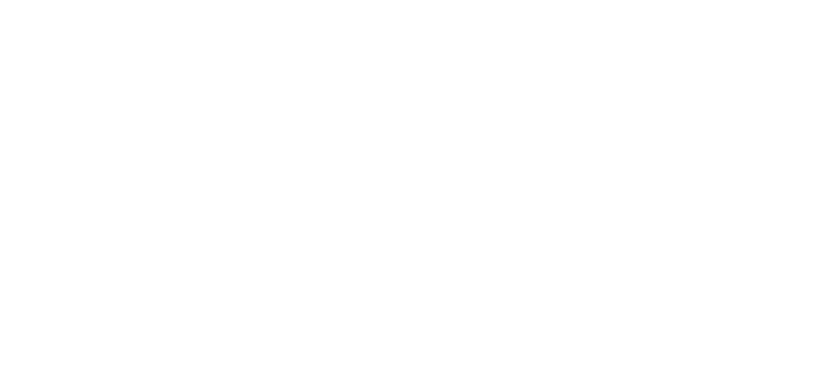 Ossa Logo – Final – White